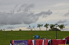 Venice kite festival_0378